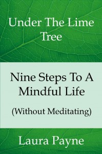 final Nine_Steps_To_A_Mind_Cover_for_Kindle